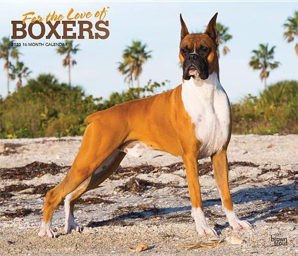 Boxers, for the Love of 2020 Deluxe Foil