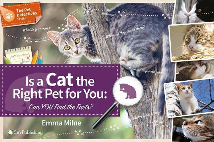 Is a Cat the Right Pet for You: Can You Find the Facts