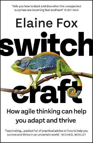 Cover image for Switchcraft: Harnessing the Power of Mental Agility to Transform Your Life