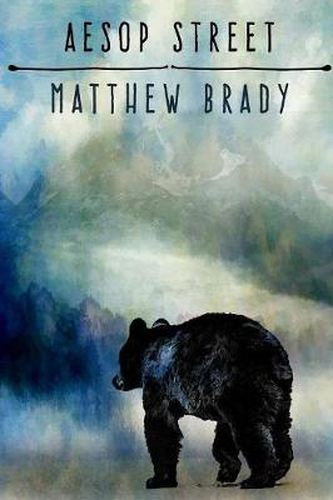 Cover image for Aesop Street