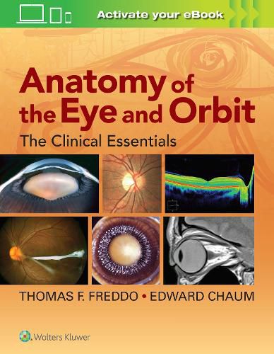 Cover image for Anatomy of the Eye and Orbit: The Clinical Essentials