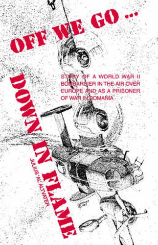Cover image for Off We Go: Down in Flame
