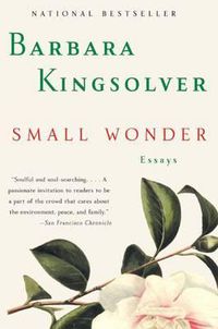 Cover image for Small Wonder: Essays