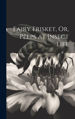 Cover image for Fairy Frisket, Or, Peeps at Insect Life