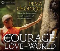 Cover image for The Courage to Love the World: Discovering Compassion, Strength, and Joy through Tonglen Meditation
