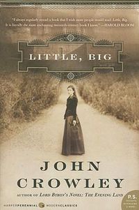Cover image for Little, Big