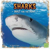 Cover image for Sharks: Built for the Hunt