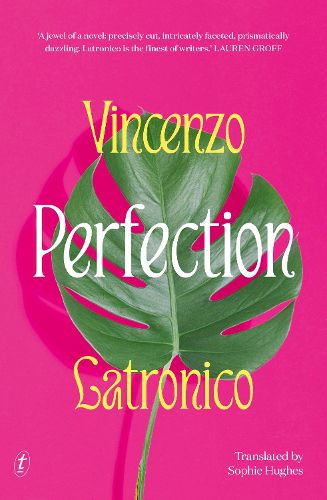 Cover image for Perfection