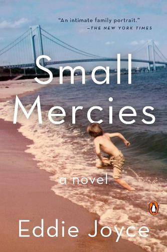 Cover image for Small Mercies: A Novel