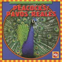 Cover image for Peacocks / Pavos Reales