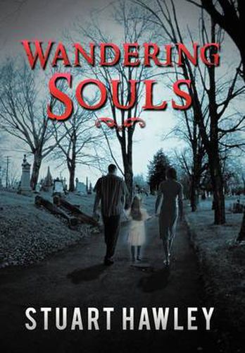 Cover image for Wandering Souls