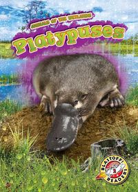 Cover image for Platypuses