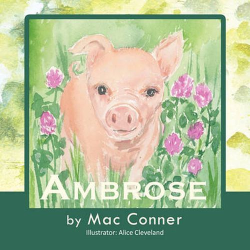 Cover image for Ambrose