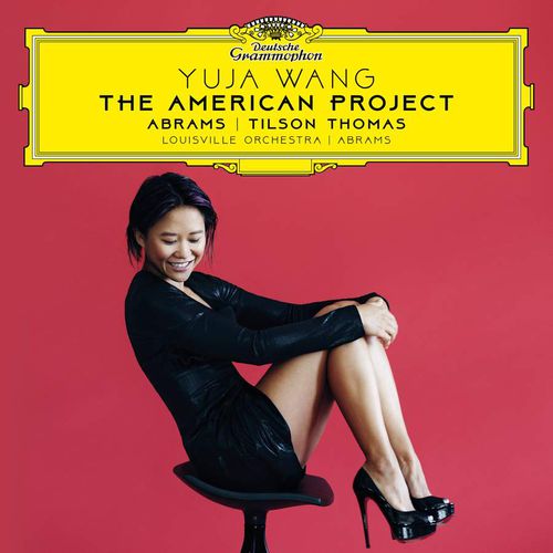 Cover image for The American Project
