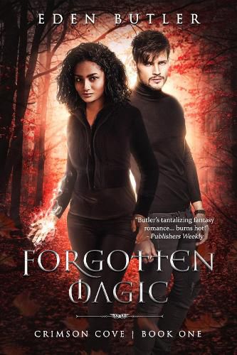 Cover image for Forgotten Magic