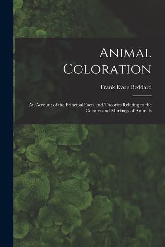 Cover image for Animal Coloration