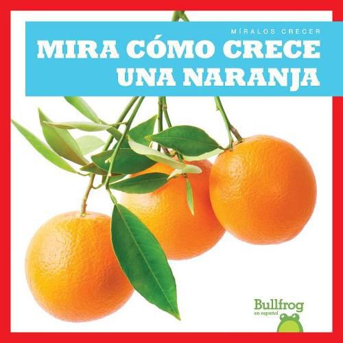 Cover image for Mira Como Crece Una Naranja (Watch an Orange Grow)