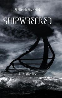 Cover image for Shipwrecked: A kids Viking Adventure