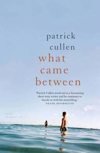 Cover image for What Came Between