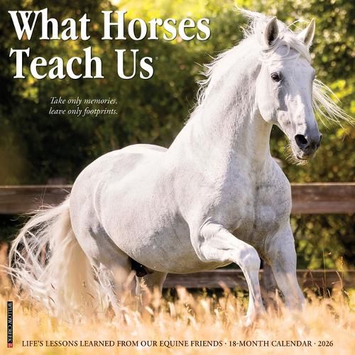 Cover image for What Horses Teach Us 2026 Wall Calendar