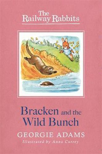 Cover image for Railway Rabbits: Bracken and the Wild Bunch: Book 11