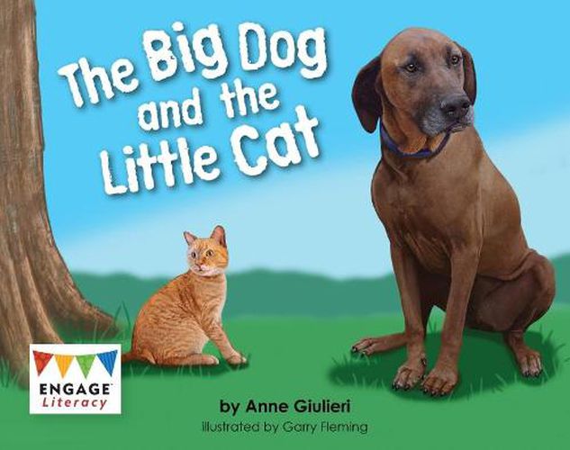 Cover image for The Big Dog and the Little Cat