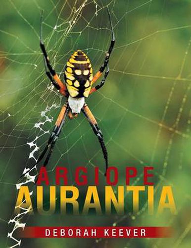Cover image for Argiope Aurantia