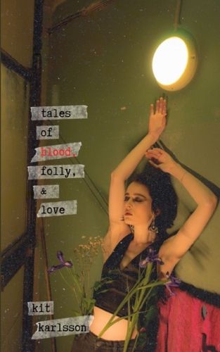 Cover image for Tales of Blood, Folly, and Love