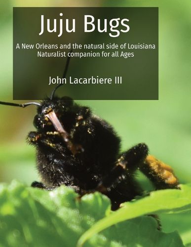 Cover image for Juju Bugs