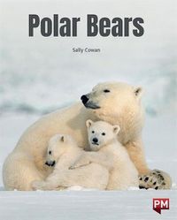 Cover image for Polar Bears