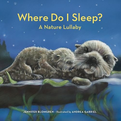 Cover image for Where Do I Sleep?