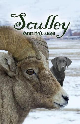 Cover image for Sculley