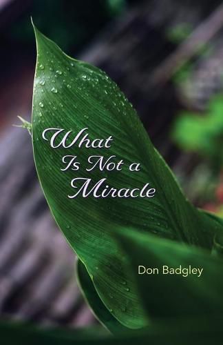 Cover image for What Is Not a Miracle