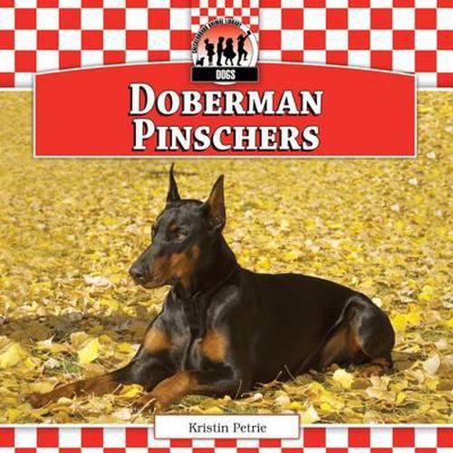 Doberman Pinschers