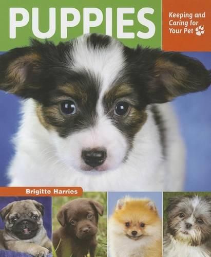 Cover image for Puppies: Keeping and Caring for Your Pet