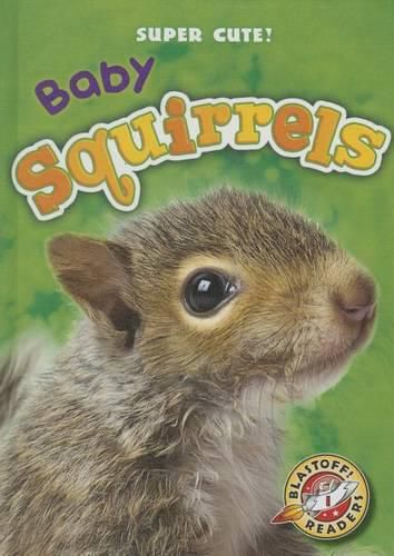Cover image for Baby Squirrels
