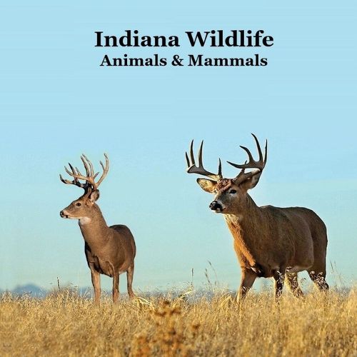 Cover image for Indiana Animals and Mammals Kids Wildlife Book