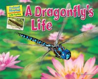 Cover image for A Dragonfly's Life