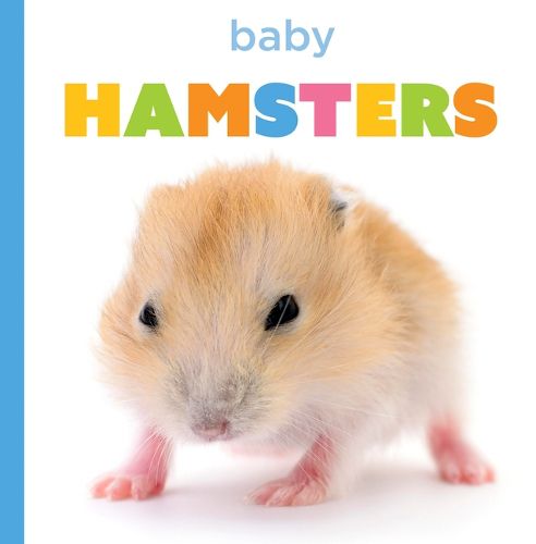 Cover image for Baby Hamsters