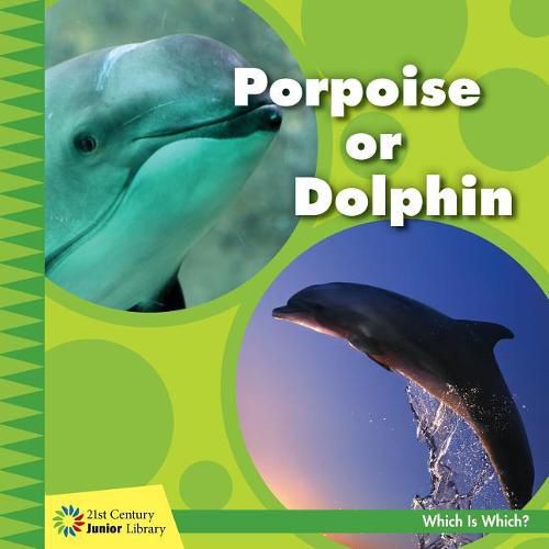 Cover image for Porpoise or Dolphin