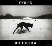 Cover image for Josef Koudelka: Exiles