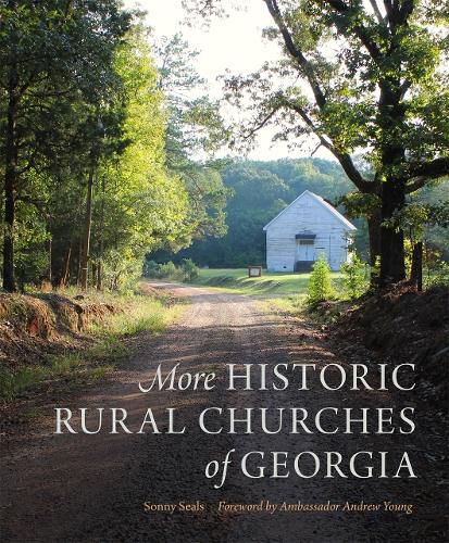 Cover image for More Historic Rural Churches of Georgia