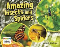 Cover image for Amazing Insects and Spiders