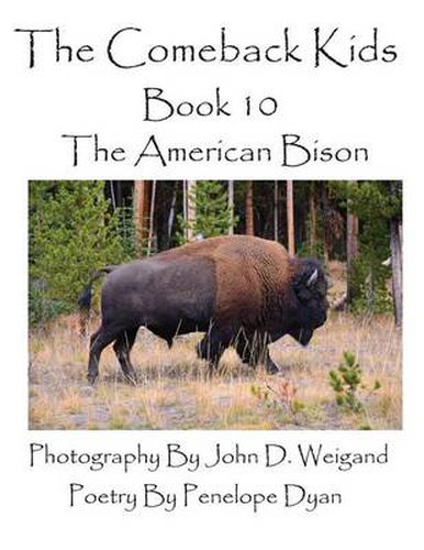 Cover image for The Comeback Kids--Book 10--The American Bison