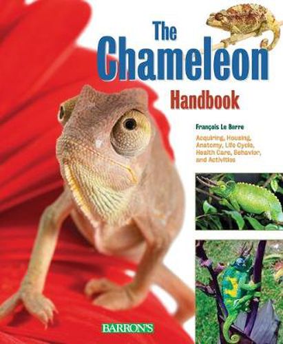 Cover image for Chameleon Handbook