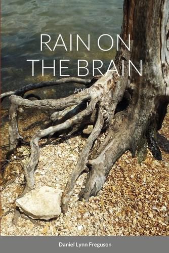 Cover image for Rain on the Brain