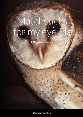 Cover image for Matchsticks for my eyelids