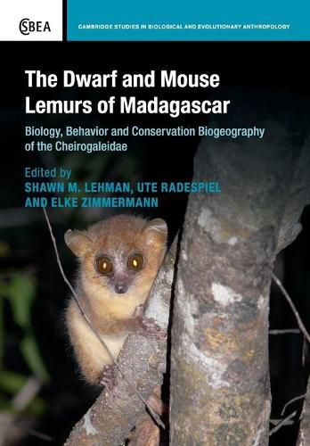 Cover image for The Dwarf and Mouse Lemurs of Madagascar: Biology, Behavior and Conservation Biogeography of the Cheirogaleidae