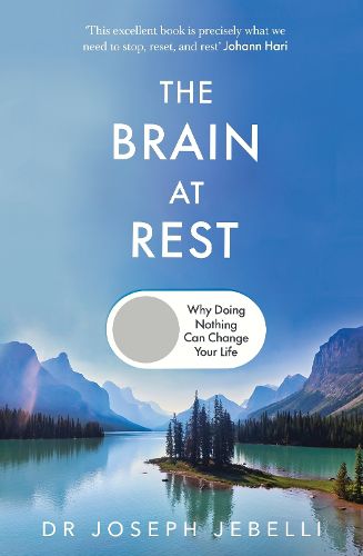 Cover image for The Brain at Rest