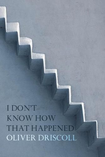 Cover image for I Don't Know How That Happened
